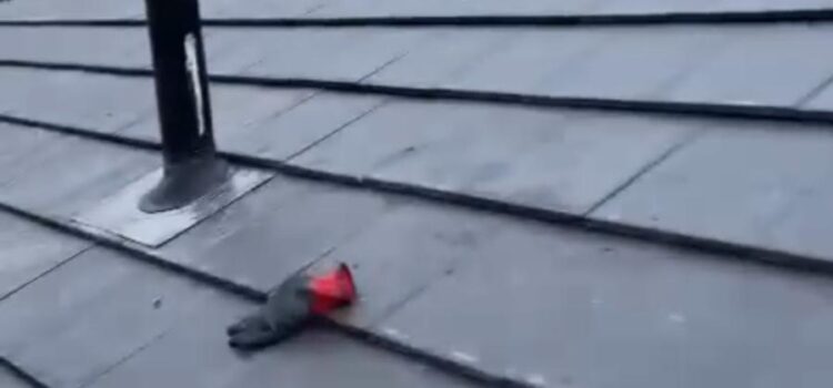 Slate Roof Repairs