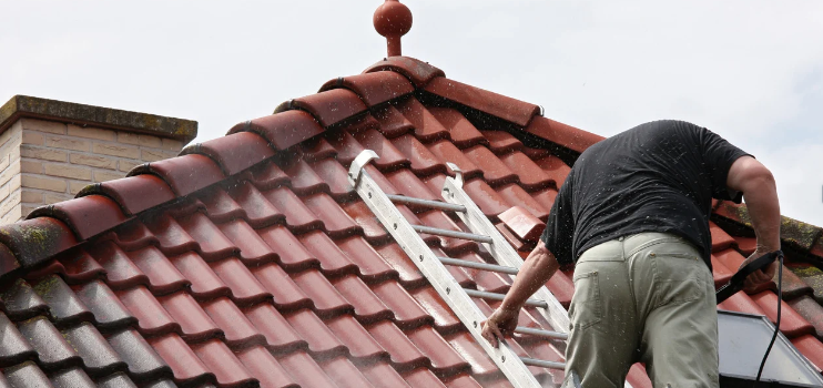 roof moss removal Chesthunt