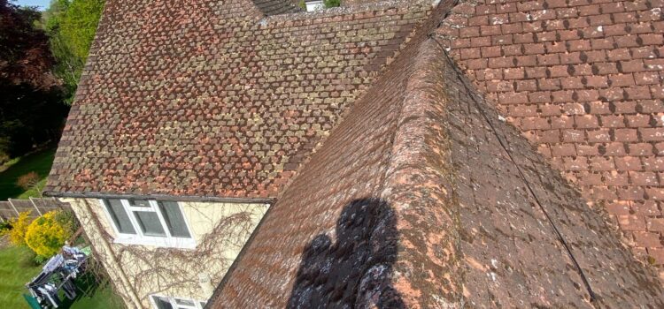 Roof Moss Cleaning watford