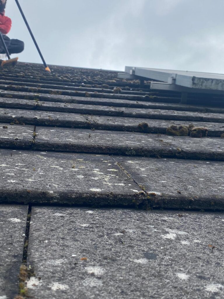solar panel pigeon proofing st albans