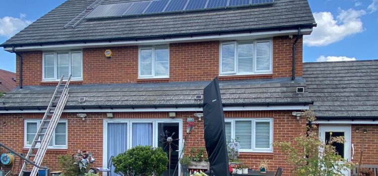 solar panel pigeon proofing st albans